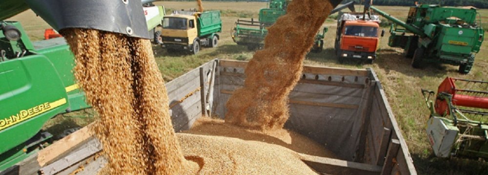 Iran Gov’t Bought $1.5b Worth of Wheat From Local Farmers in 3 Months