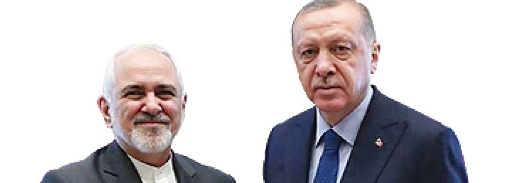 Zarif, Erdogan Discuss Syria Ahead of Astana Talks 