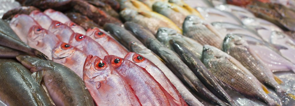 Seafood Exports Earn $50m in 2 Months