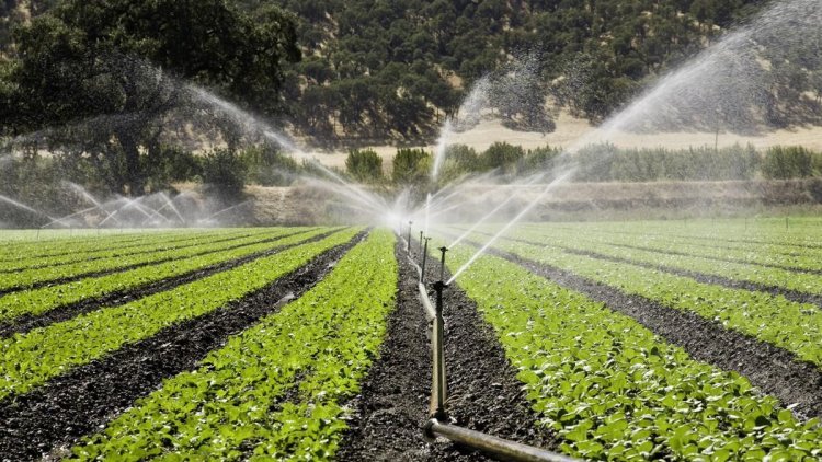 Agro Sector Gobbles Up 91% of Water - Financial Tribune