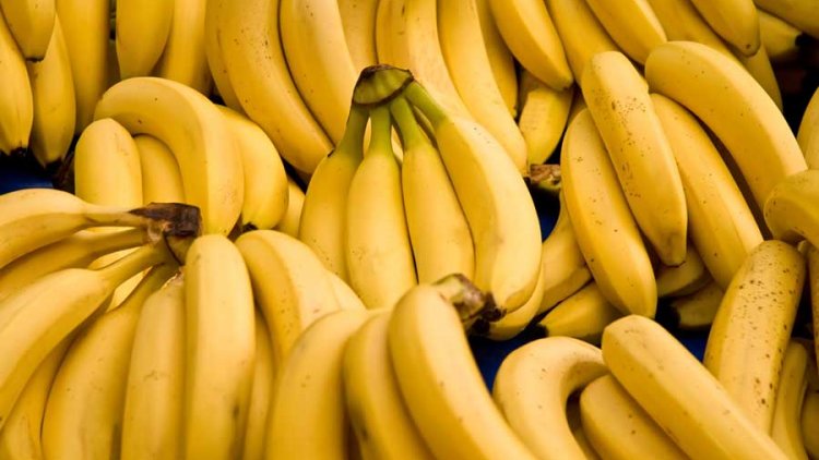Banana Imports Hit 176m In Four Months Financial Tribune