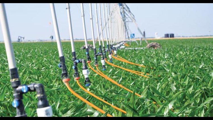 $660m Allocated To Modernize Irrigation Systems | Financial Tribune