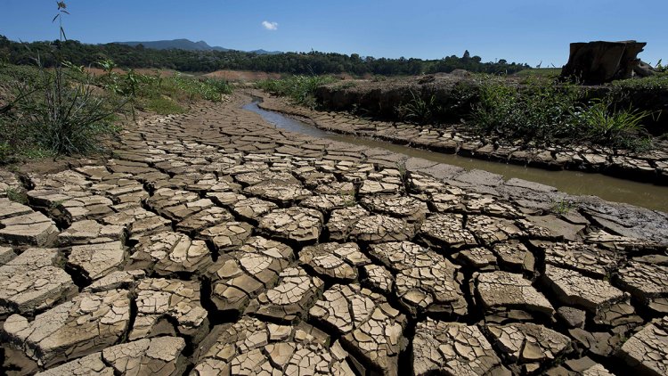 Severe Drought Hurts Brazil | Financial Tribune