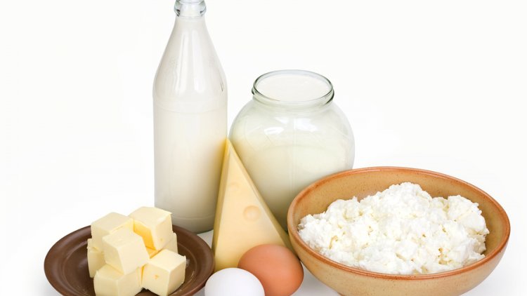 Call for Affordable Dairy Prices | Financial Tribune