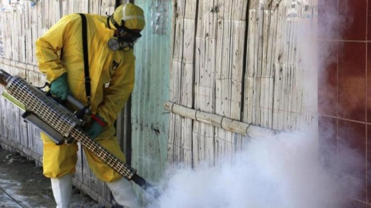 Who Declares Zika Emergency Financial Tribune