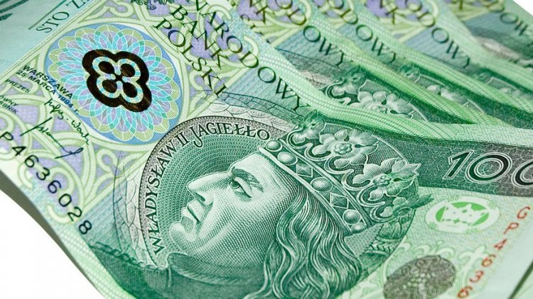 excessive-zloty-gains-would-hurt-polish-economy-financial-tribune