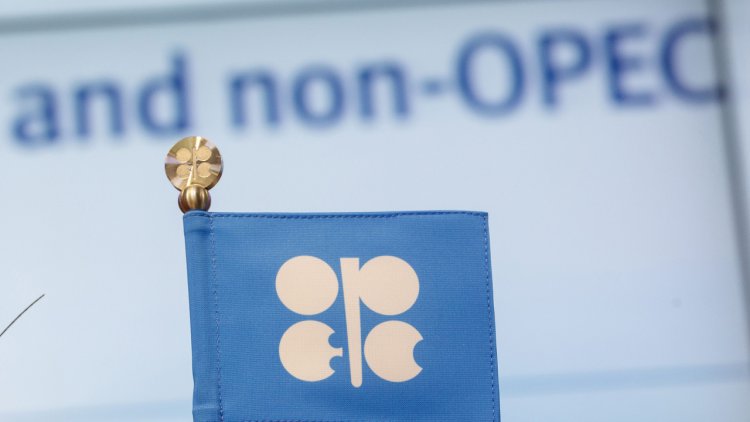 opec stands for