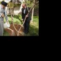 Ayatollah Seyyed Ali Khamenei plants two saplings in Tehran to mark National Tree Planting Day and the beginning of Natural Resources Week on March 6.