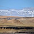 50 MW Wind Farm for Zabol 