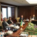 Former German FM Confers With Iran Energy Minister 