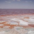 Urmia Lake Conditions Deplorable