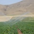 Gov’t Taking Baby Steps to Reduce Water Waste in Agriculture Sector 