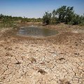 Water Tension Beleaguers Yazd