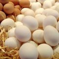 Egg Imports Halt as Production Increases