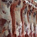 4% Decline in Last Year’s Red Meat Production
