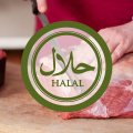 Iran’s Share of Global Halal Market at Less Than 1% 