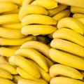 Bananas Imports Reach $210m in 9 Months