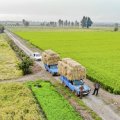 $125m in Bank Loans for Mazandaran Agriculture Sector