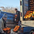 Fruit Prices Zoom