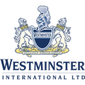 Westminster Making Progress on Iran Airport Project