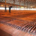 Copper Concentrate Output  Grows 10% 