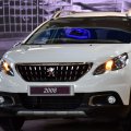 110 Optional Parts for Peugeot 2008 Offered in Iran