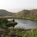 Call for Action to Save  Bisheh-Dalan Wetland 