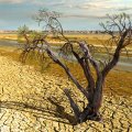 Need to Recognize Persistent  Drought to Push Adaptation 