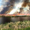 Iran to Help Extinguish Wetland Fire on Iraqi Soil  