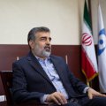 Tehran, Budapest to Develop Nuclear Collaboration 