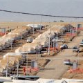 Almost Half of 5m Iraqi IDPs Repatriated