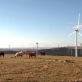 Share of Renewable Energy in Mongolia Reaches Record High