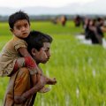 Only International Pressure Can Now Save Rohingya