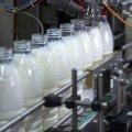 Window of Opportunity for Iran in Iraq’s Dairy Market