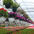 Iran 10th Biggest Producer of Flower, Plants