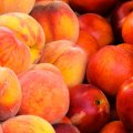Peach, Nectarine Output Over 1m Tons