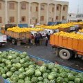 Astara Agrofood Exports Earn $53m Since March 21