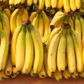 Banana Imports at $113m in Four Months