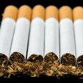Cigarette Output Up 37%