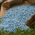 Fertilizer Production Meets 80% of Domestic Demand