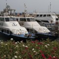 Dramatic Rise in Sea Travel During Norouz Holidays