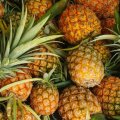 $2.3m Worth of Pineapple Imported in 1 Month