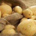 Potato Exports Earn $19.4m