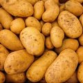 Potatoes Sold to 13 Countries