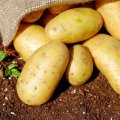 4.9m Tons of Potatoes Expected to Be Produced This Year