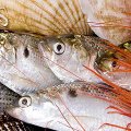 Seafood Output Target: 1.6m Tons p.a. by 2022