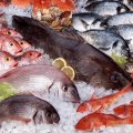 Seafood Exports to Reach $400m 