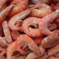 Shrimp Production Estimated to Rise by 13.6%