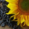 China Biggest Exporter of Sunflower Seeds to Iran
