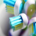 Toothbrush Imports at $8.5m Last Year